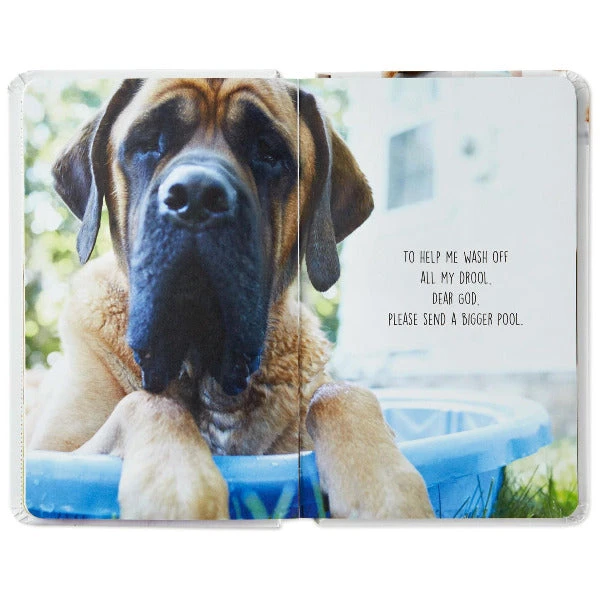 Hallmark Pet Prayers: Funny Pleas And Praise From Our Animal Friends Book - Image 2